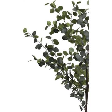 Coco Maison Eucalyptus Tree kunstplant H180cm